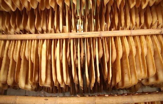 Giá cao su dự báo sẽ không phục hồi trong năm 2019 do yếu tố cơ bản cung-cầu
